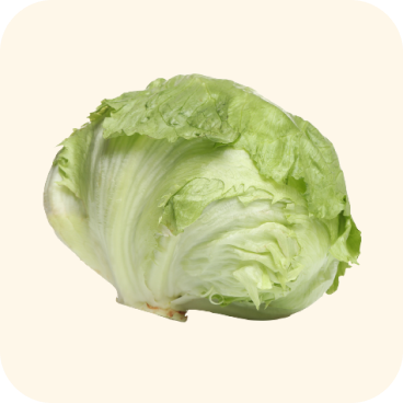 Cabbage-Image