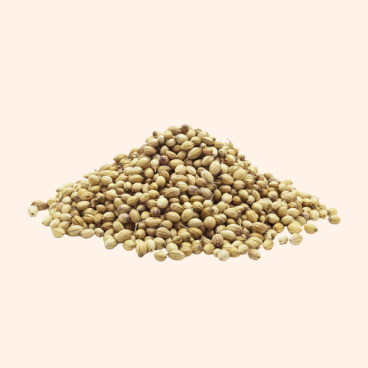Coriander-Image