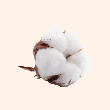 Cotton-Image