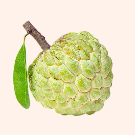 Custard Apple-Image