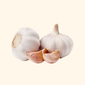 Garlic-Image