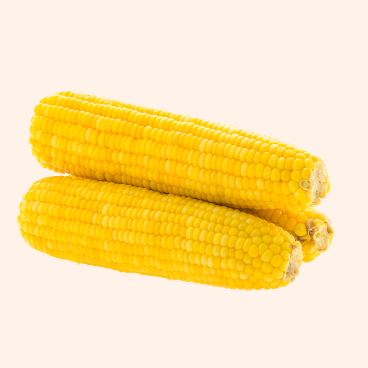Maize-Image