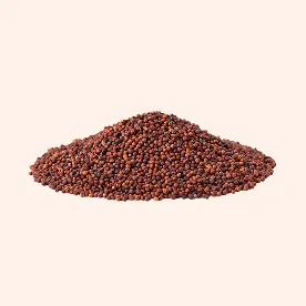 Ragi-Image