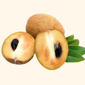 Sapota-Image