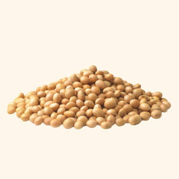 Soybean-Image