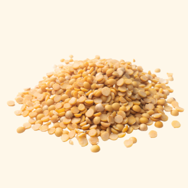 Lentil-Image